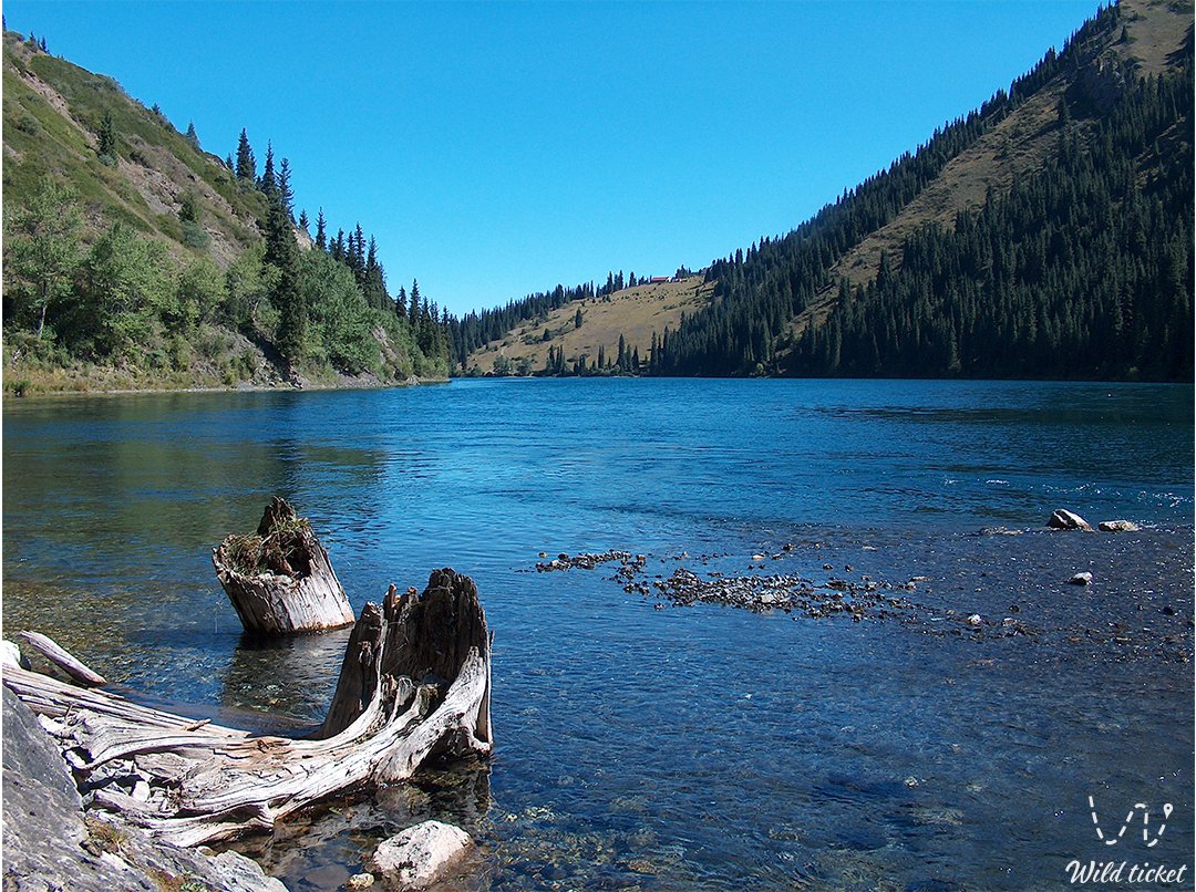 哈萨克斯坦的明珠科尔赛湖