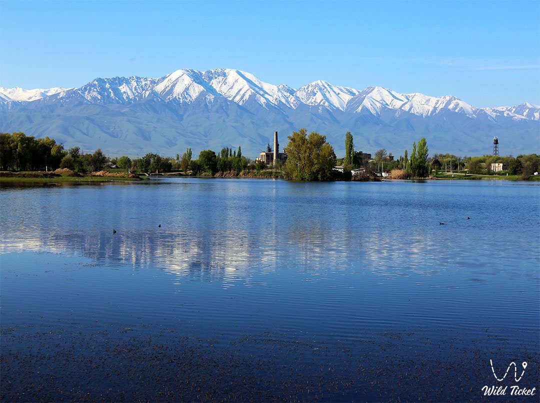 哈萨克斯坦共和国江布尔地区。