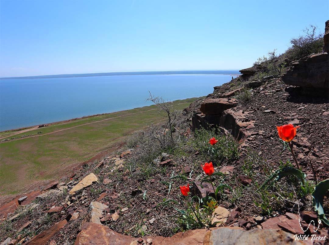 Акколь озеро в Жамбылской области, Казахстан.
