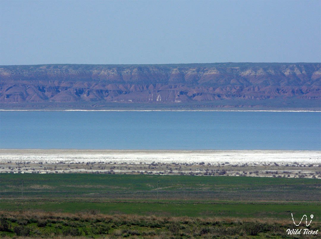 哈萨克斯坦 Zhambyl 地区的 Ashikol 湖。