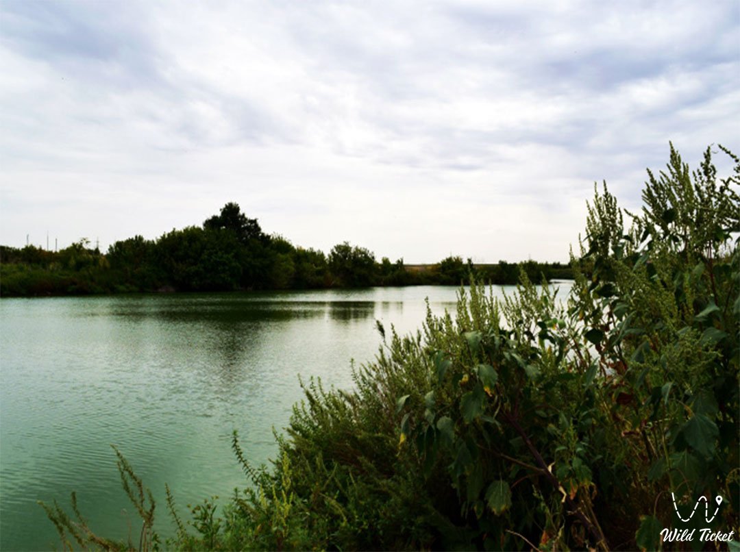 哈萨克斯坦西部地区的大乌岑河。