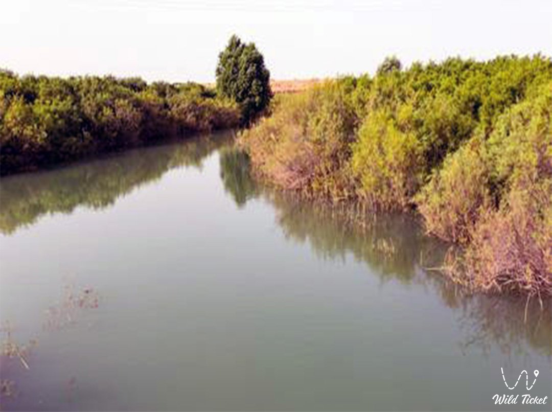 哈萨克斯坦突厥斯坦地区布贡河。