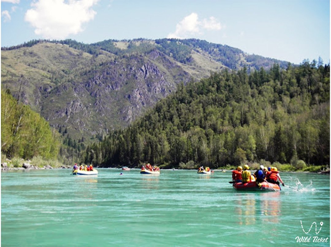哈萨克斯坦阿尔泰山区的卡吞河。