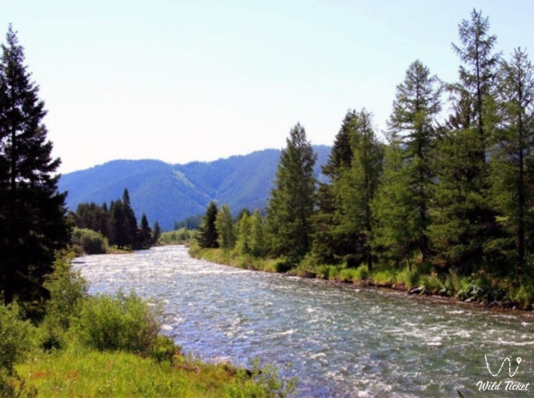 Narym river in East Kazakhstan river.