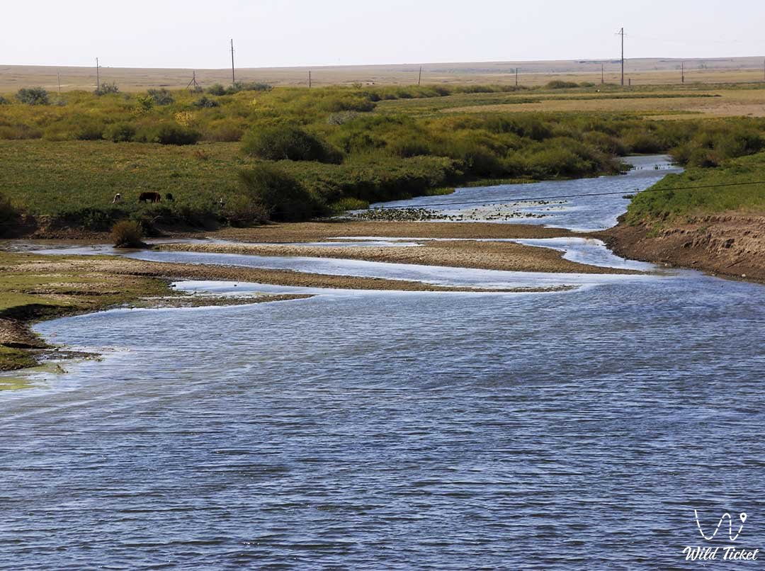 Or river in Aktobe region, Kazakhstan.