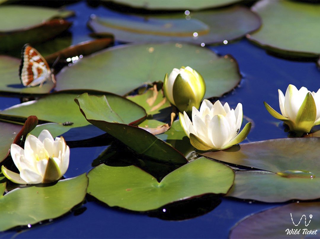 哈萨克斯坦东部的阿布雷基特湖。
