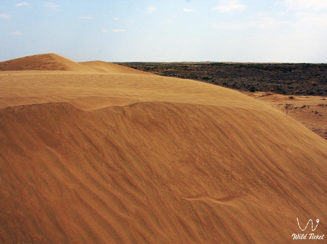Алкаколкум пустыня в Туркестанской области, Казахстан.
