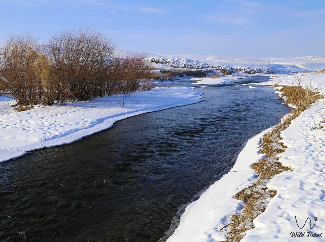 Река Курты, экскурсия к реке, Алматинская область, Казахстан.