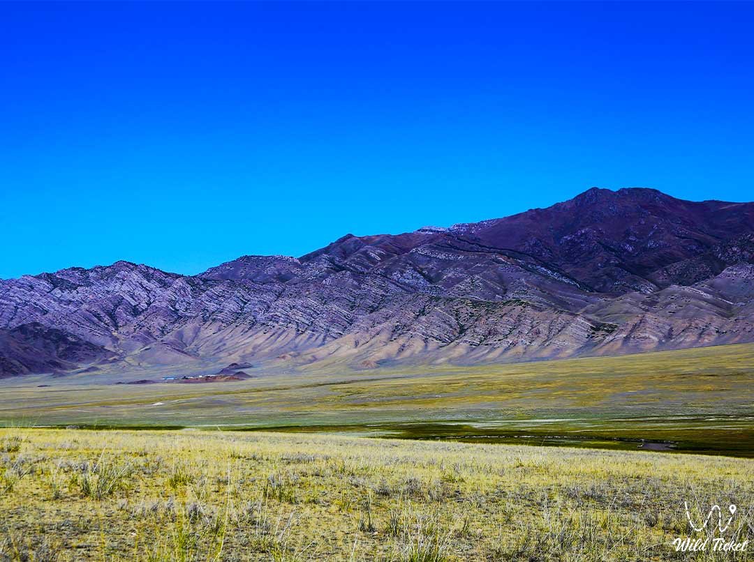凯特门山脉，穿越哈萨克斯坦的群山。