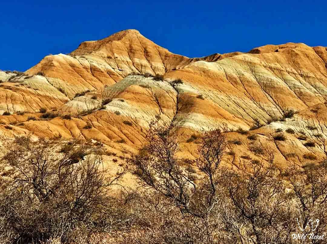 Dolantau 虎山，前往哈萨克斯坦阿拉木图地区。