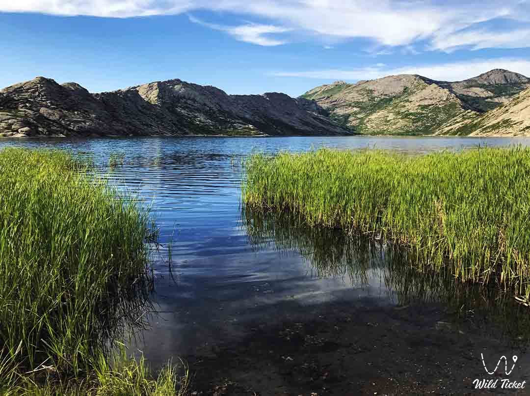 Урыль восточный казахстан фото