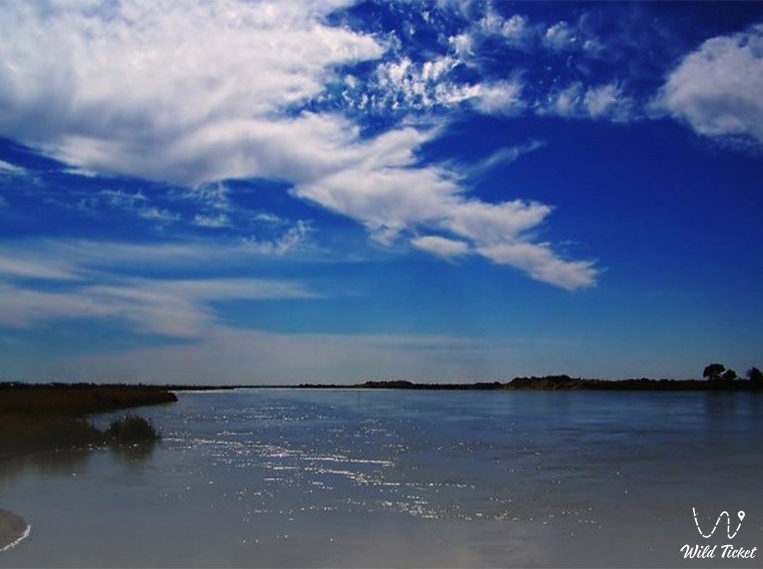 Kyzylorda 地区的 Syrdarya 河，在哈萨克斯坦的河流上漂流。