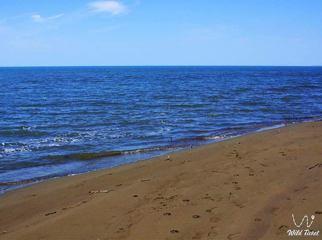 Алгазы остров на озере Балхаш, Карагандинская область, Казахстан.