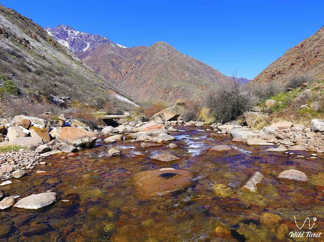 Горная река Мерке, Жамбылская область, Казахстан.