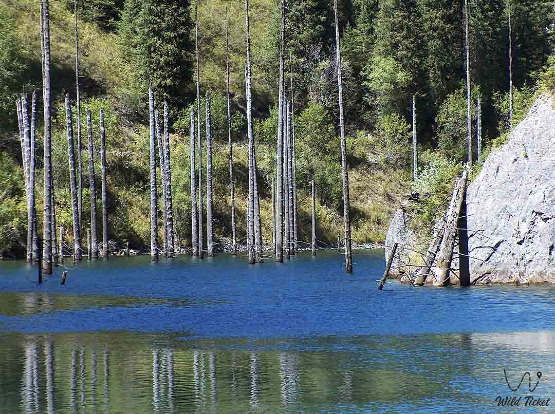 Lake Kaindy in ancient geological park, Almaty region, Kazakhstan.