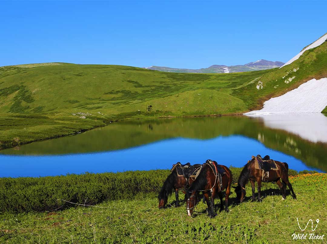 Белоубинские озера в Западном Алтайском заповеднике.