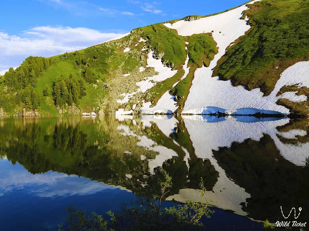 西阿尔泰自然保护区的雪松湖。