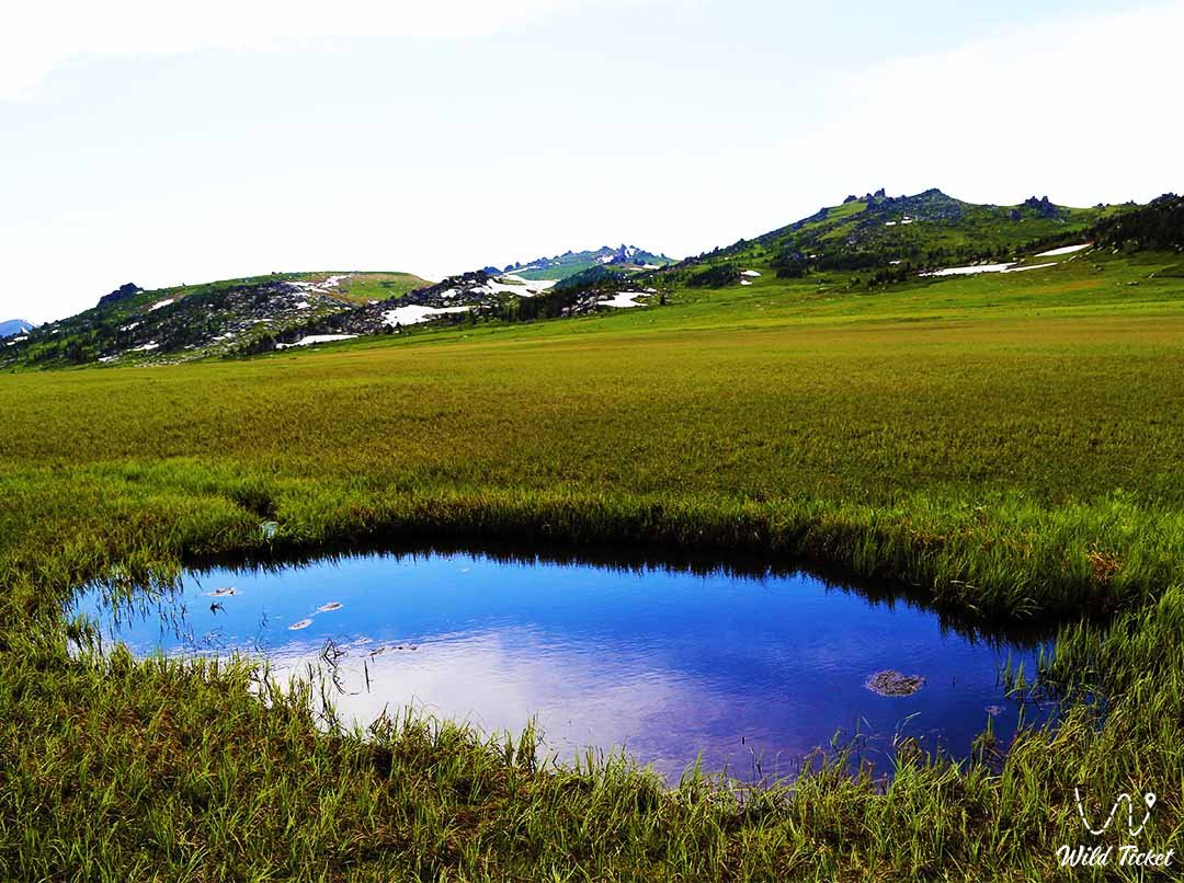 Gulbische 是一个高山沼泽，一个独特的自然形成。
