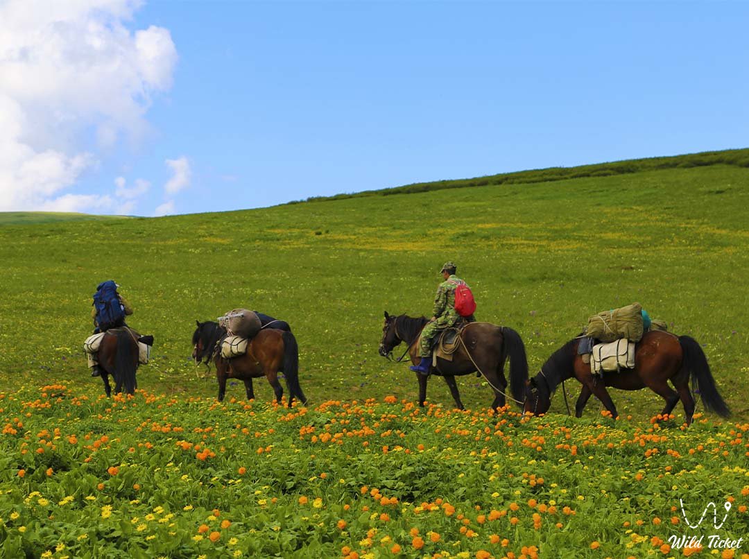 Хребет Холзун, Казахстанский Алтай