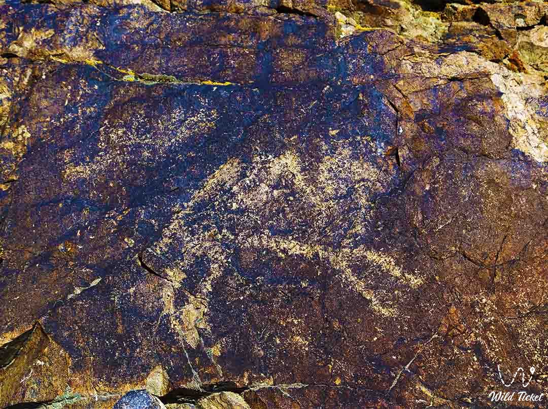 Kaskabulak petroglyphs (rock paintings) in Aksu-Zhabagly.