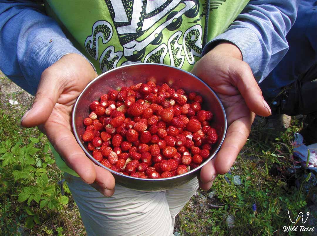 Монахово ущелье в долине реки Талгар.