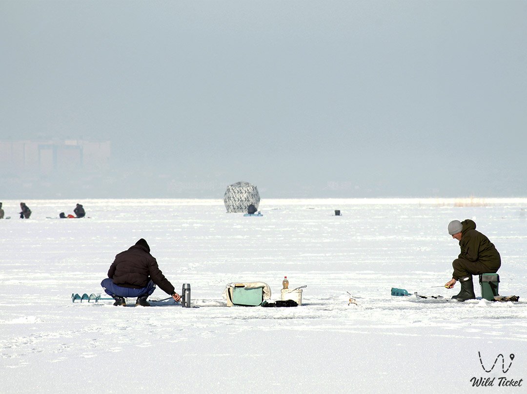 冬季钓鱼 - Vobla。