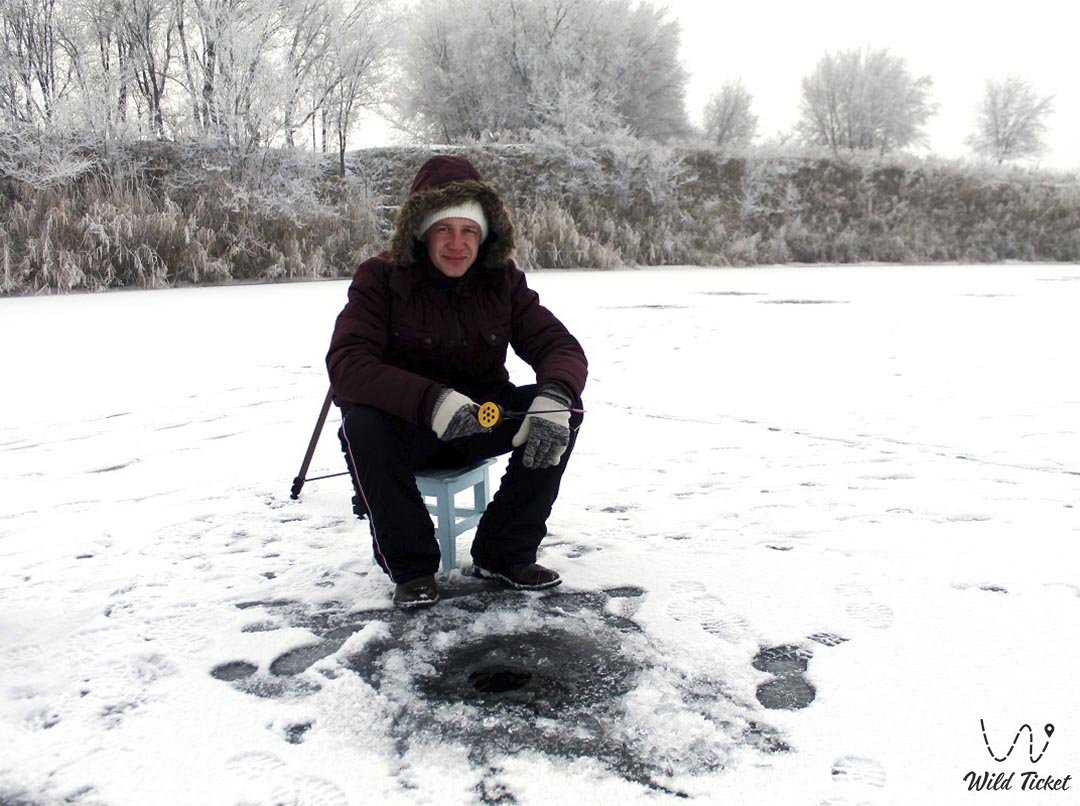 Зимняя рыбалка – радужная Форель