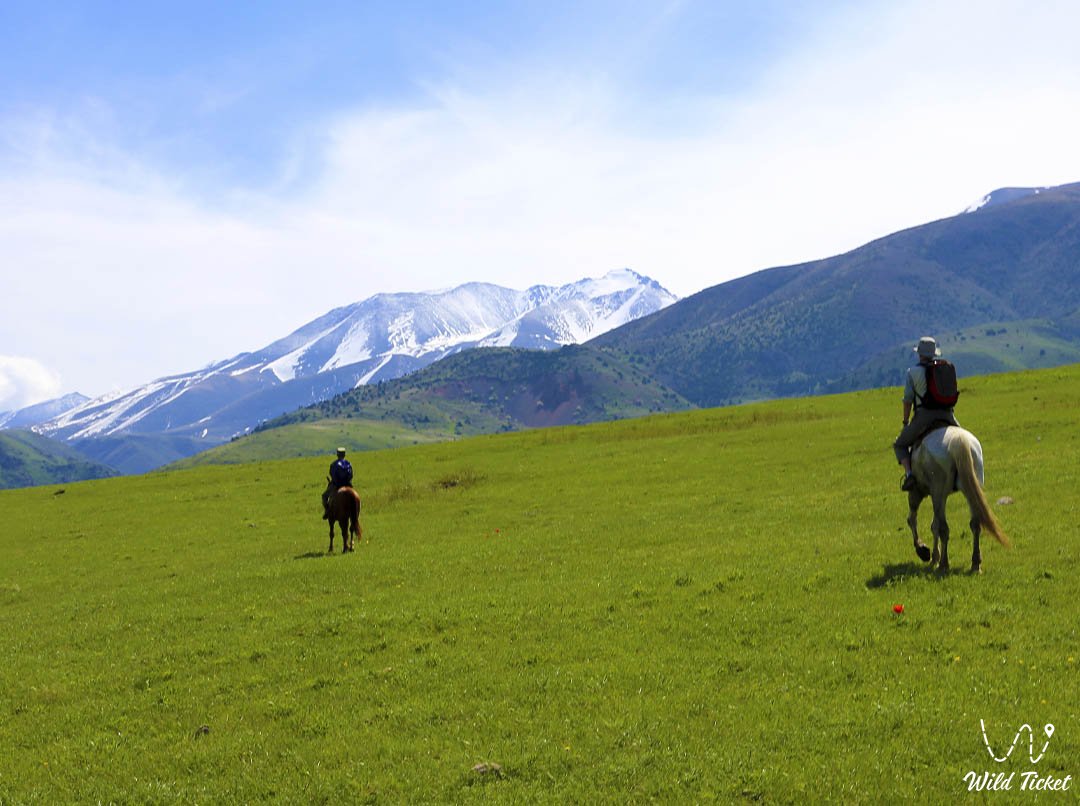 Excursion to Taldibulak forest and gorge, Almaty region Kazakhstan