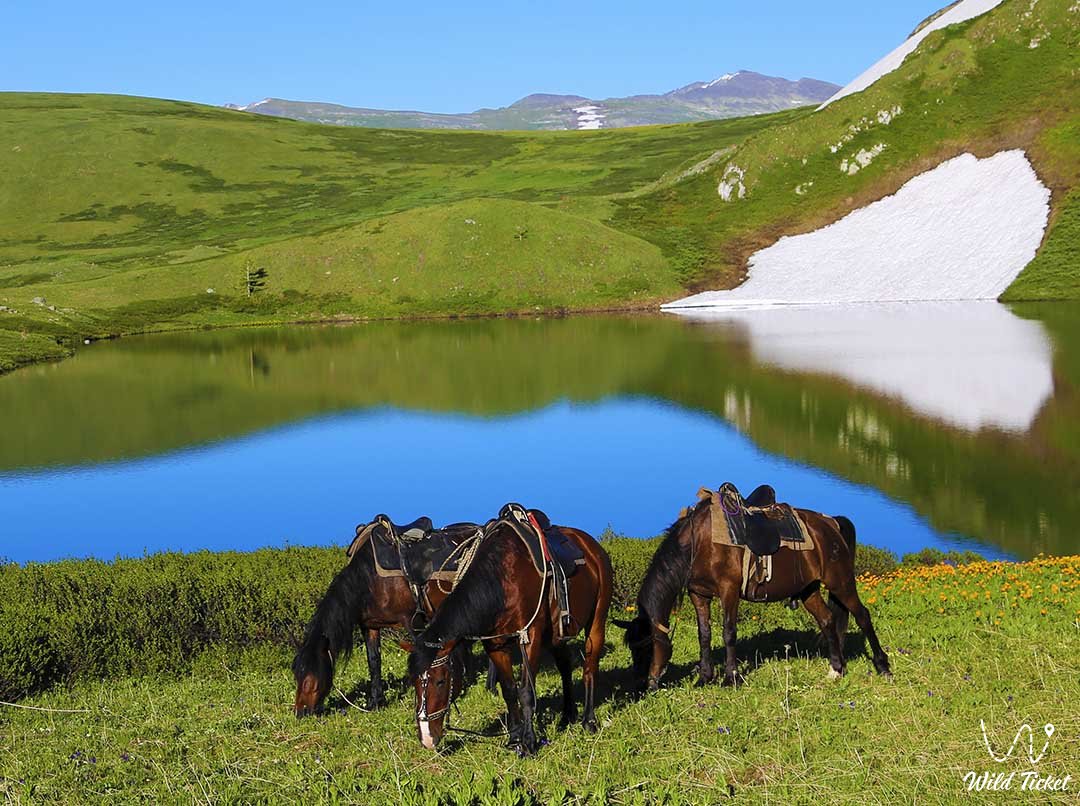 参观东哈萨克斯坦阿尔泰野生湖泊的阿尔泰地区