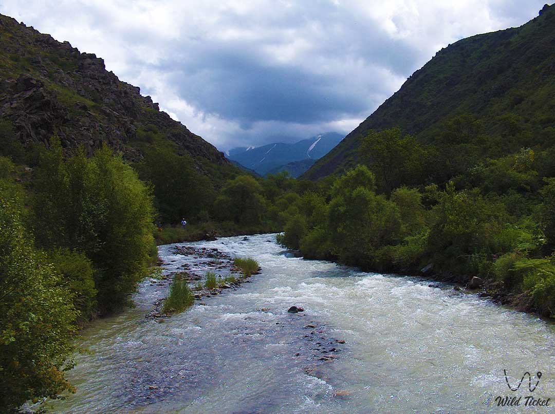 游览 Kishi Koyandy 峡谷 - Taldybulak 峡谷 - Aksu Jabagly 保护区