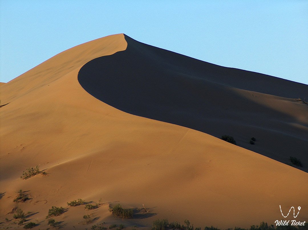 Tour from China to Singing Dunes, Altyn Emel national park, Almaty region