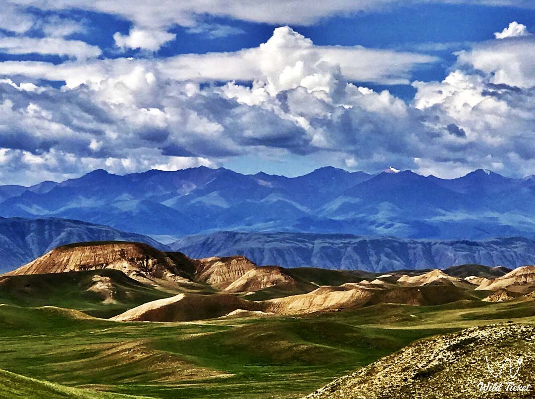 Tour about Mystery of Golden Man, Kazakhstan