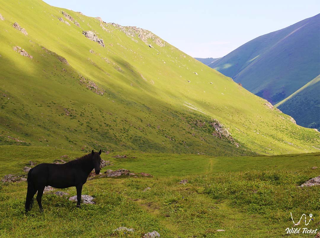 Бузунбай горное ущелье, урочище, Алматинская область.