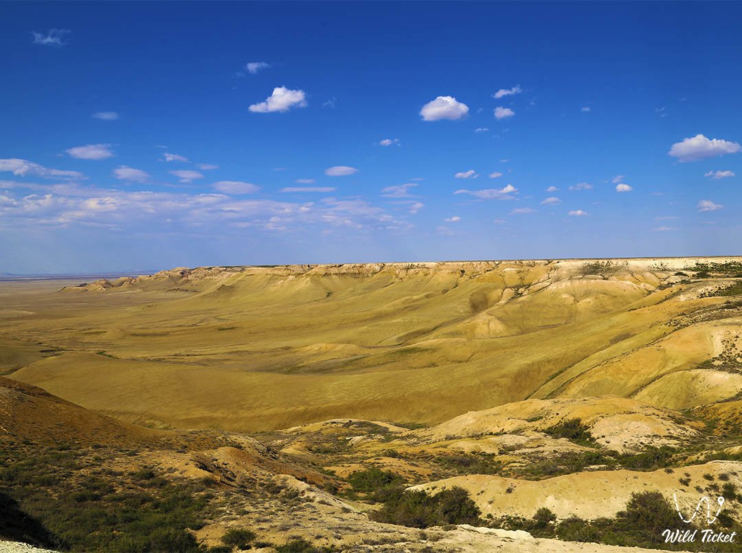 Kuruksay tract (lowland-ravine), Ustyurt plateau, Aktobe region, Kazakhstan.