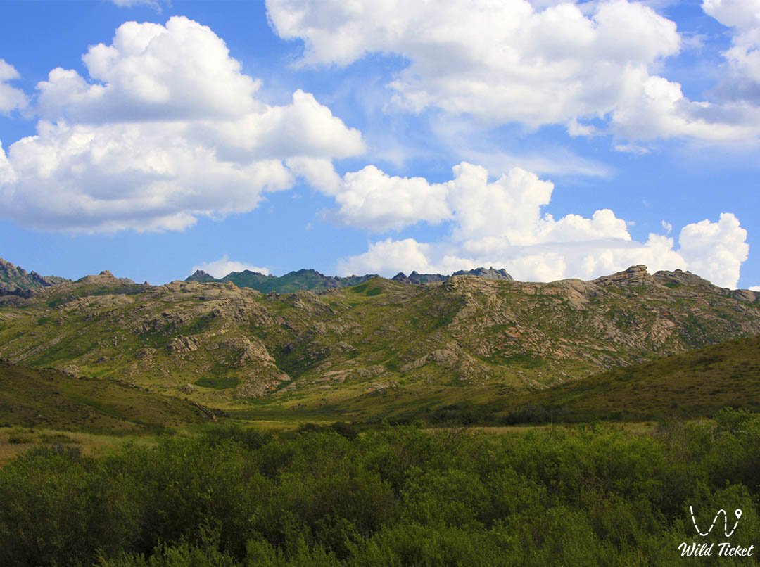 Karagungey 山脉，东哈萨克斯坦地区。