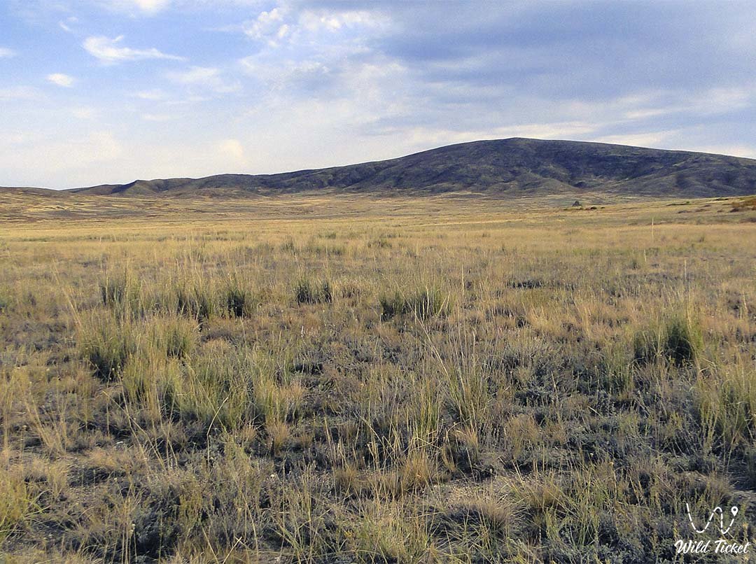 位于哈萨克斯坦卡拉干达地区的舒纳克陨石坑。