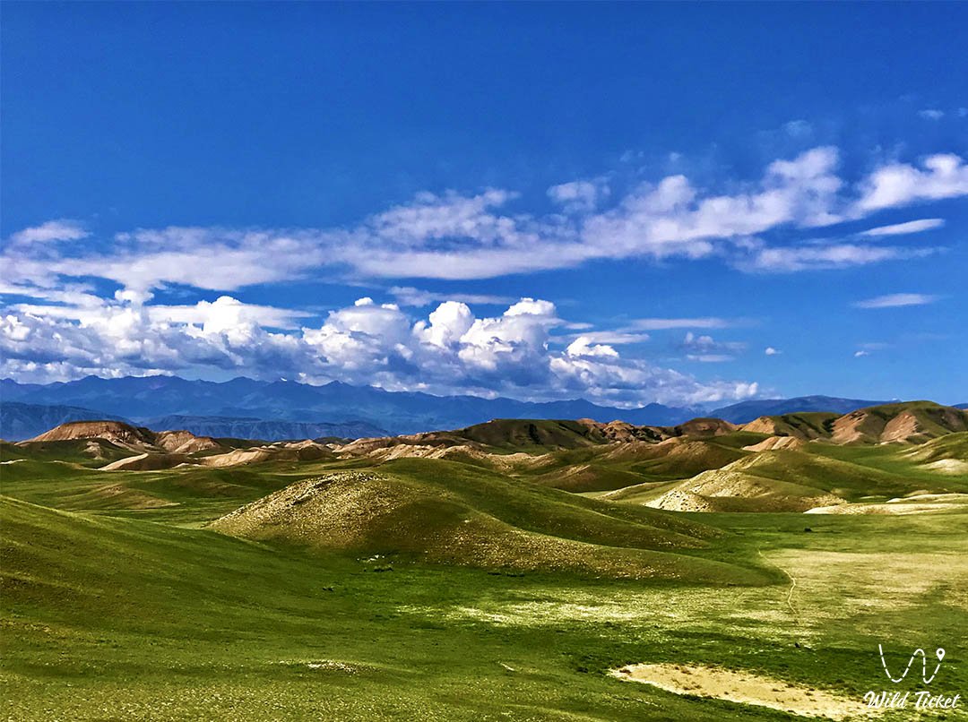 Горы Жабыртау, Алматинская область, район озера Тузколь.