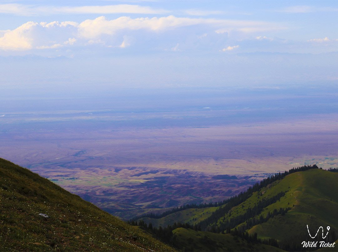 Кетмень горный перевал, район озера Тузколь, (долина реки Шалкудысу), Алматинская область.