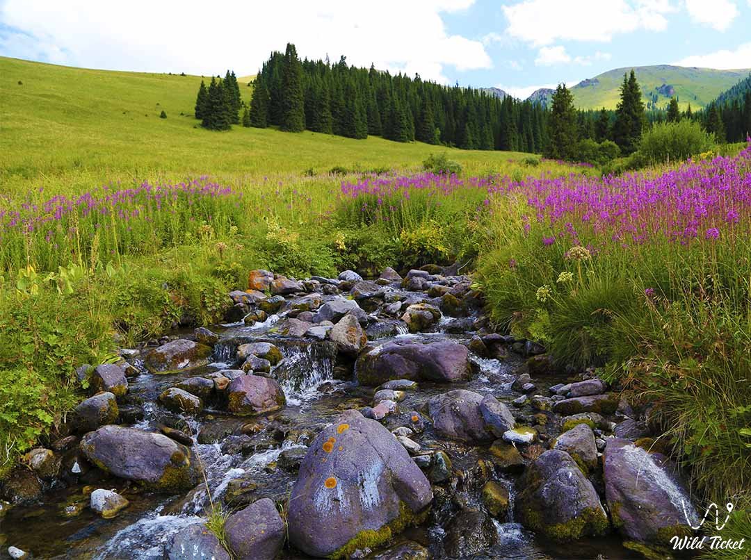 Ущелье Байынкол, горы Центрального Тянь-Шаня.