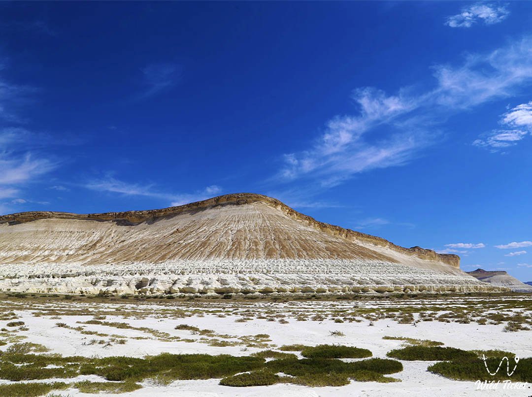 Bostankum sands（沙谷），Mangystau半岛。