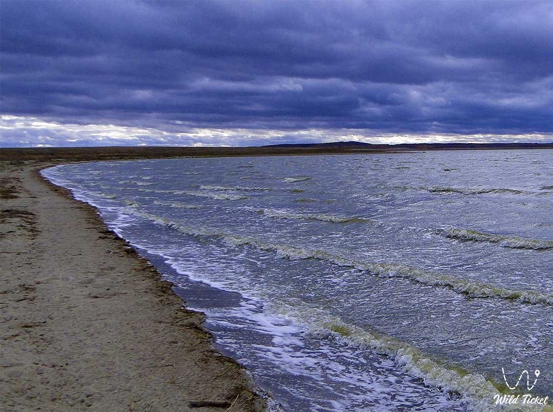 Озеро Кушмурун, Костанайская область, Казахстан.