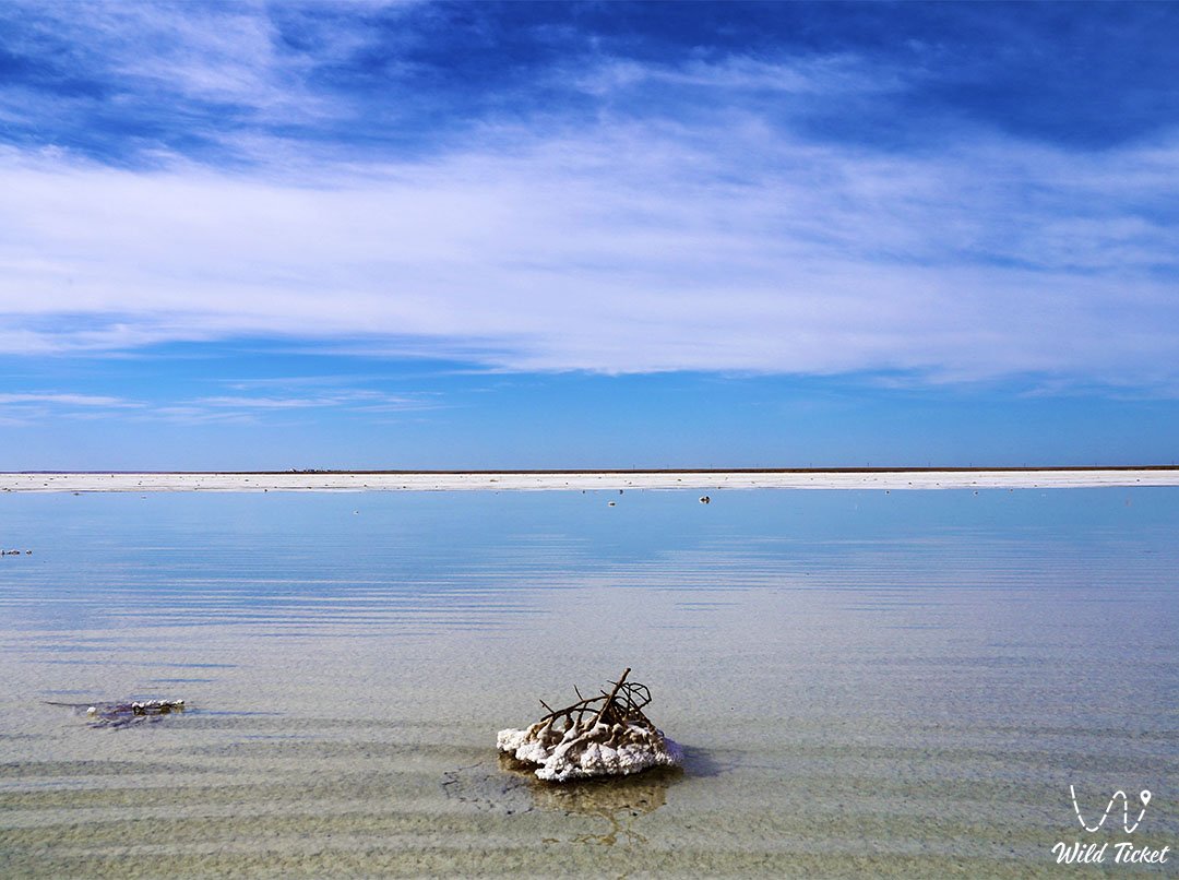 Inder solt lake (Inderbor) in Atyrau region, Kazakhstan.