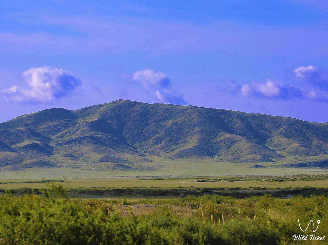 Арганаты горный хребет, Карагандинская область, Казахстан.