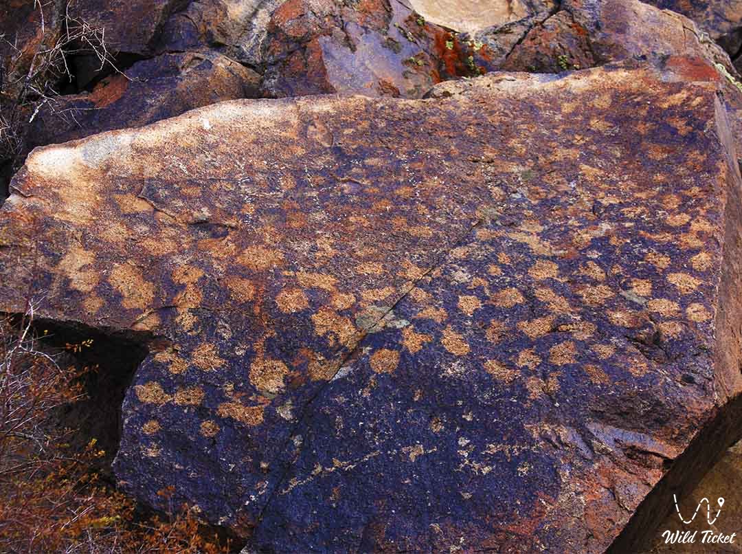 Петроглифы Шунак (Тайаткан-Шунак), Карагандинская область.