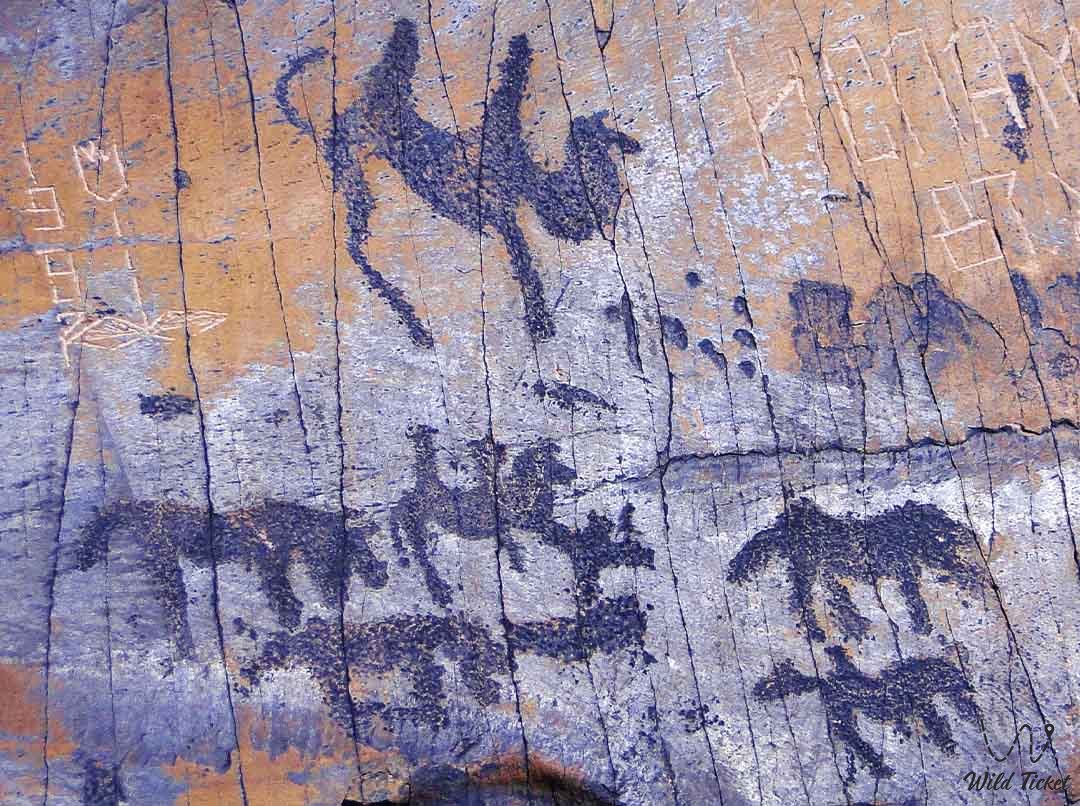 Петроглифы Байконыр, Карагандинская область.