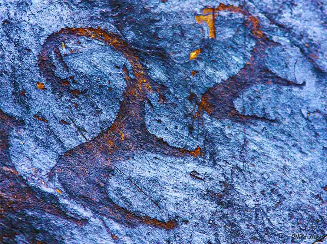 阿拉木图地区 Eshkiolmes 的岩画。