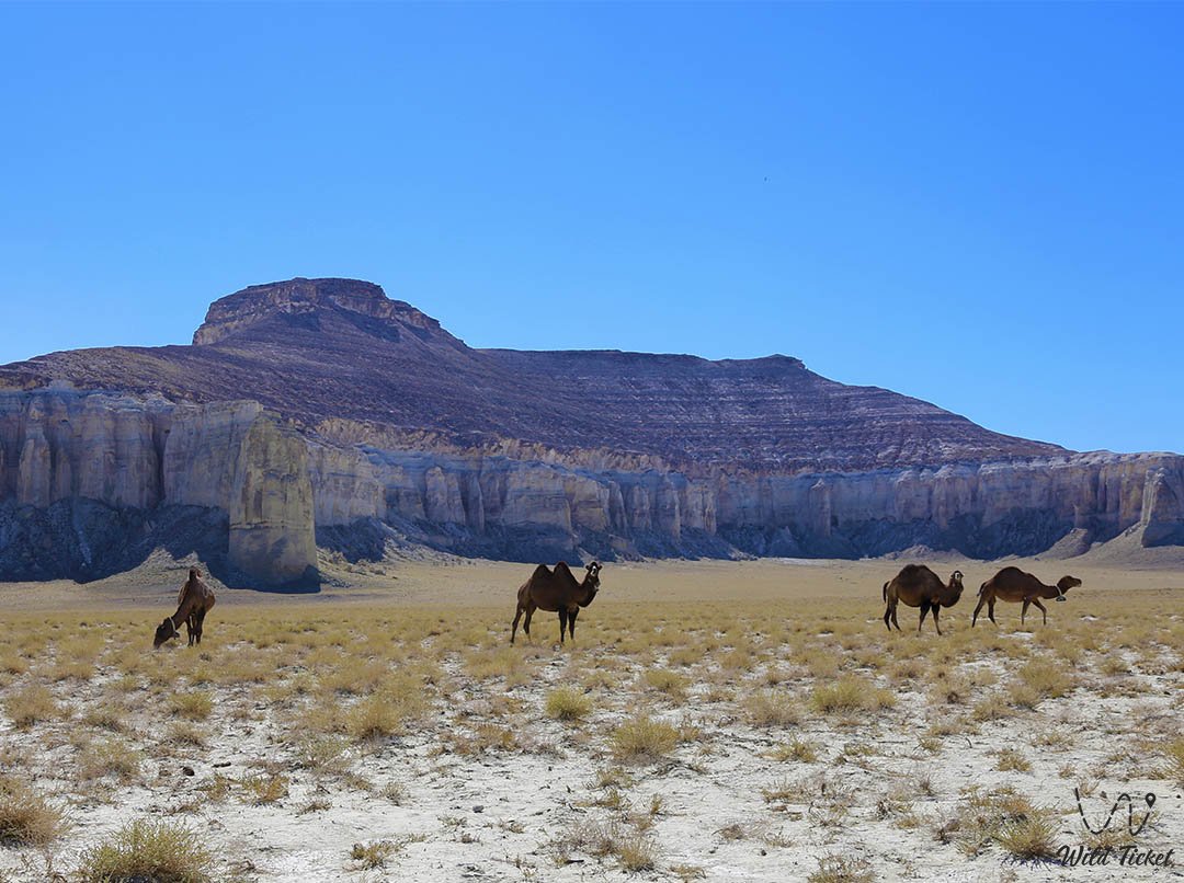 Впадина Басгурлы-Жазгурлы