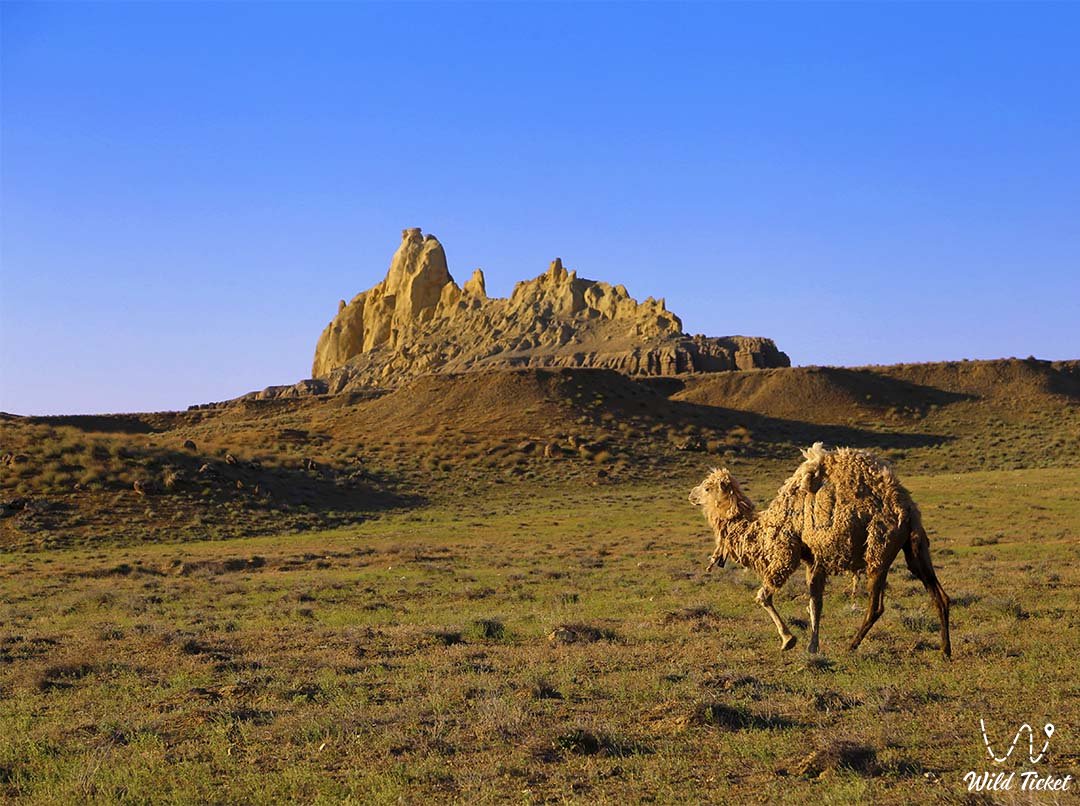 Kenderli是Kayasan高原