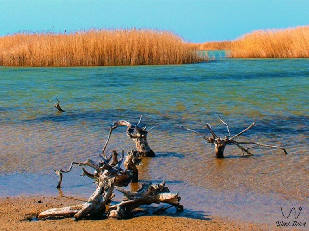 科什卡尔-阿塔湖
