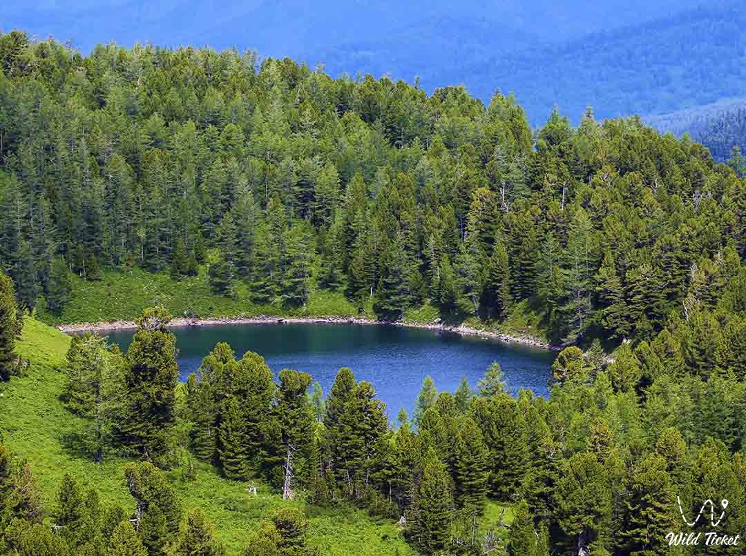 西尔泰自然保护区的Shcherbakov湖